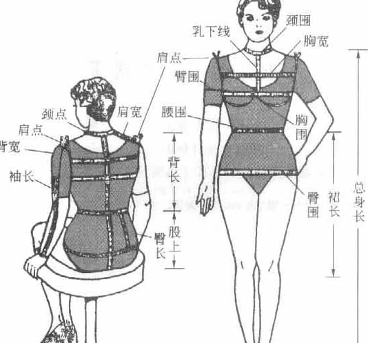 怎么測(cè)量腰圍和T恤尺寸測(cè)量方法